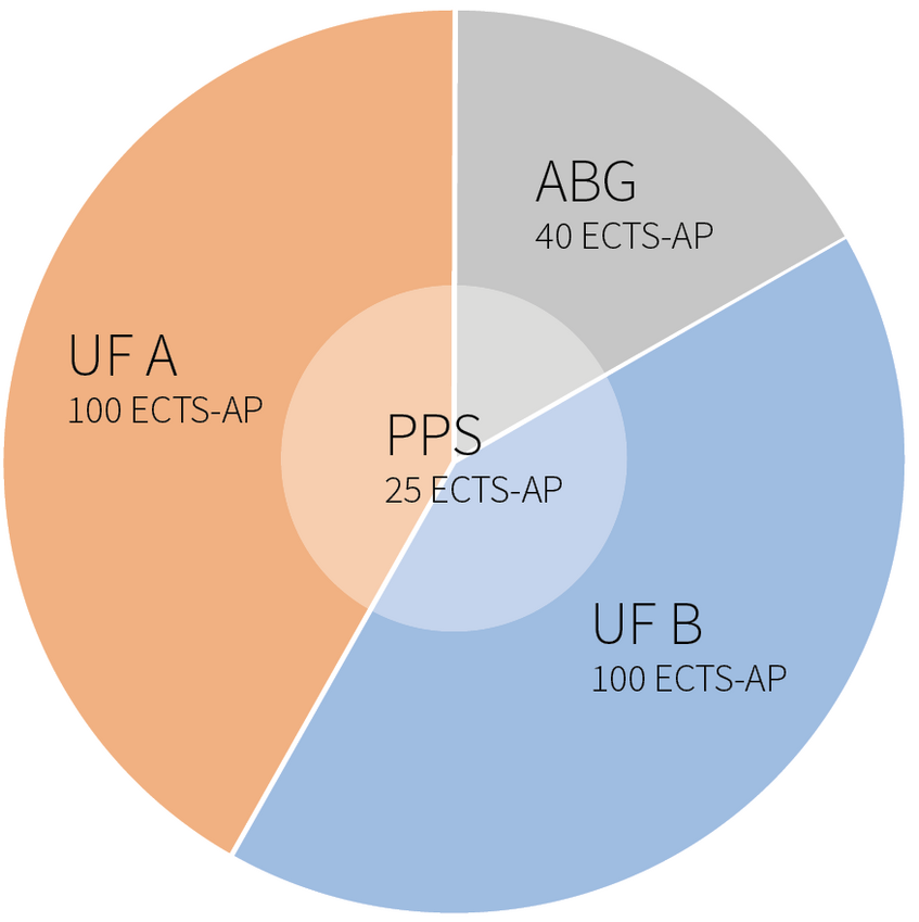 pie chart of all ECTS in the Bachelor's programme